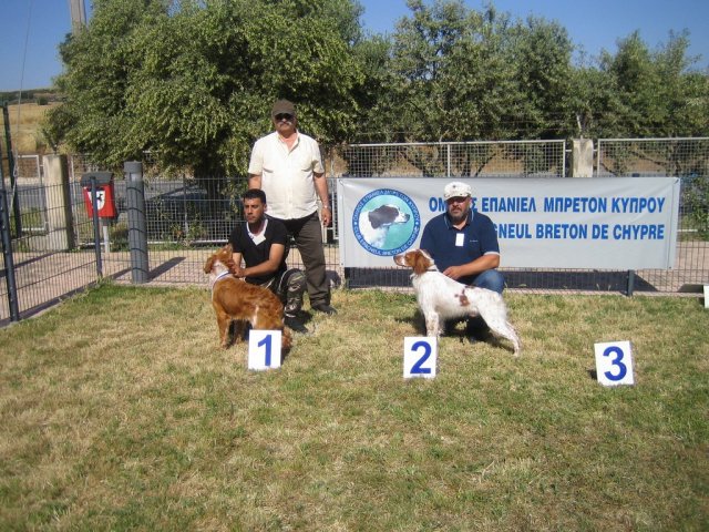 17th National Breed Show